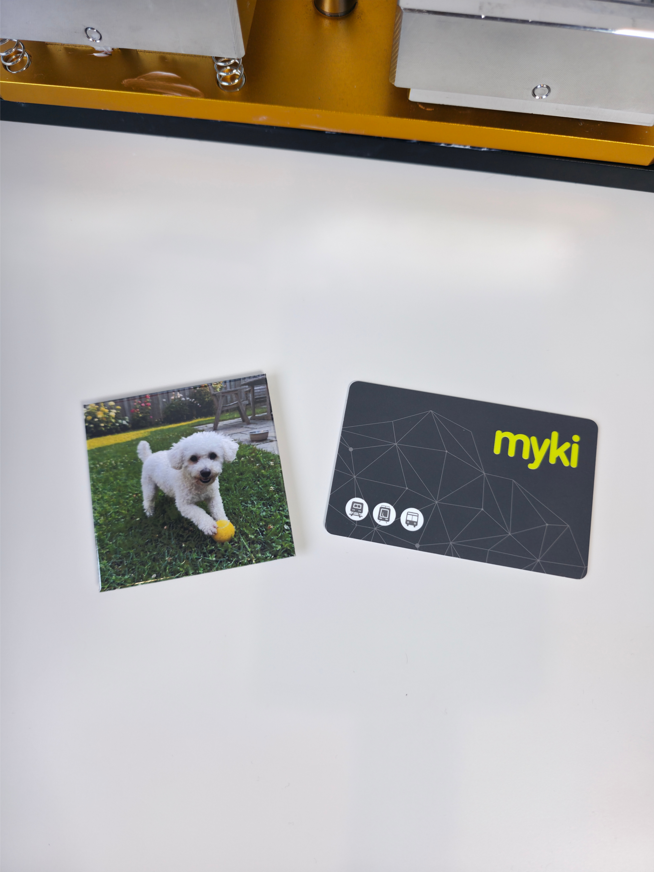 Square Custom Photo Magnets ✨️Now Bigger Size!✨️