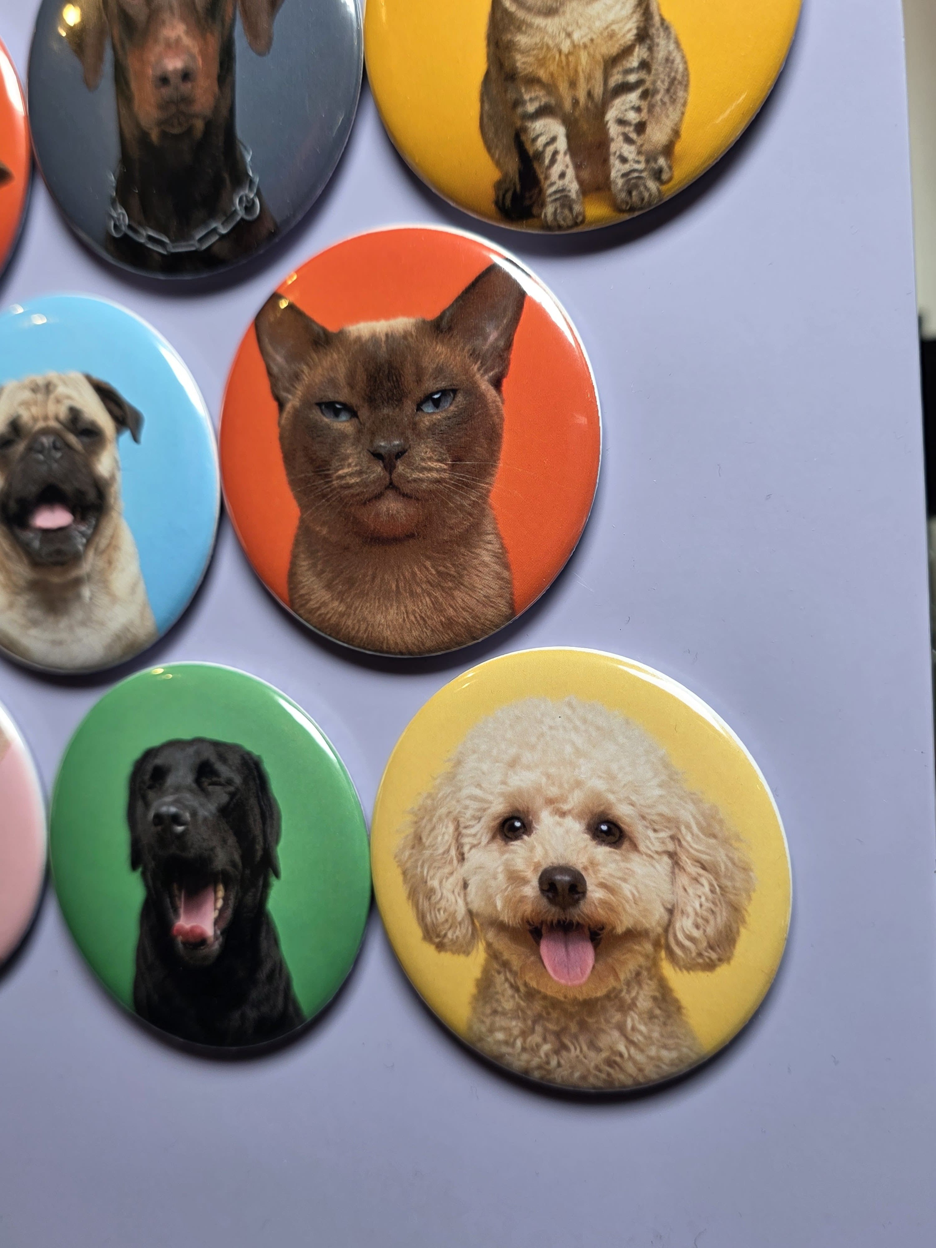 Round Custom Photo Magnets (5.8 cm)