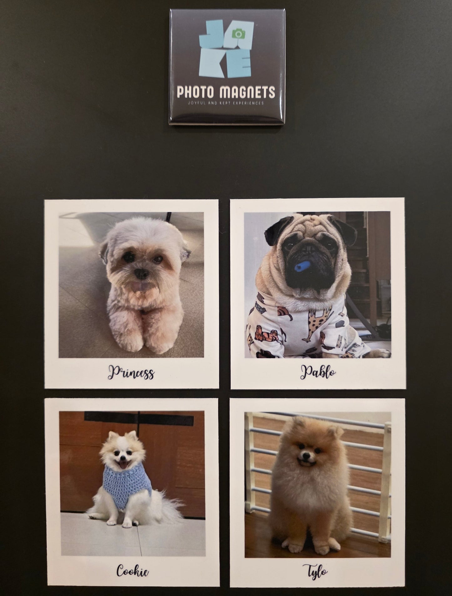 Vintage-Style Photo Magnets